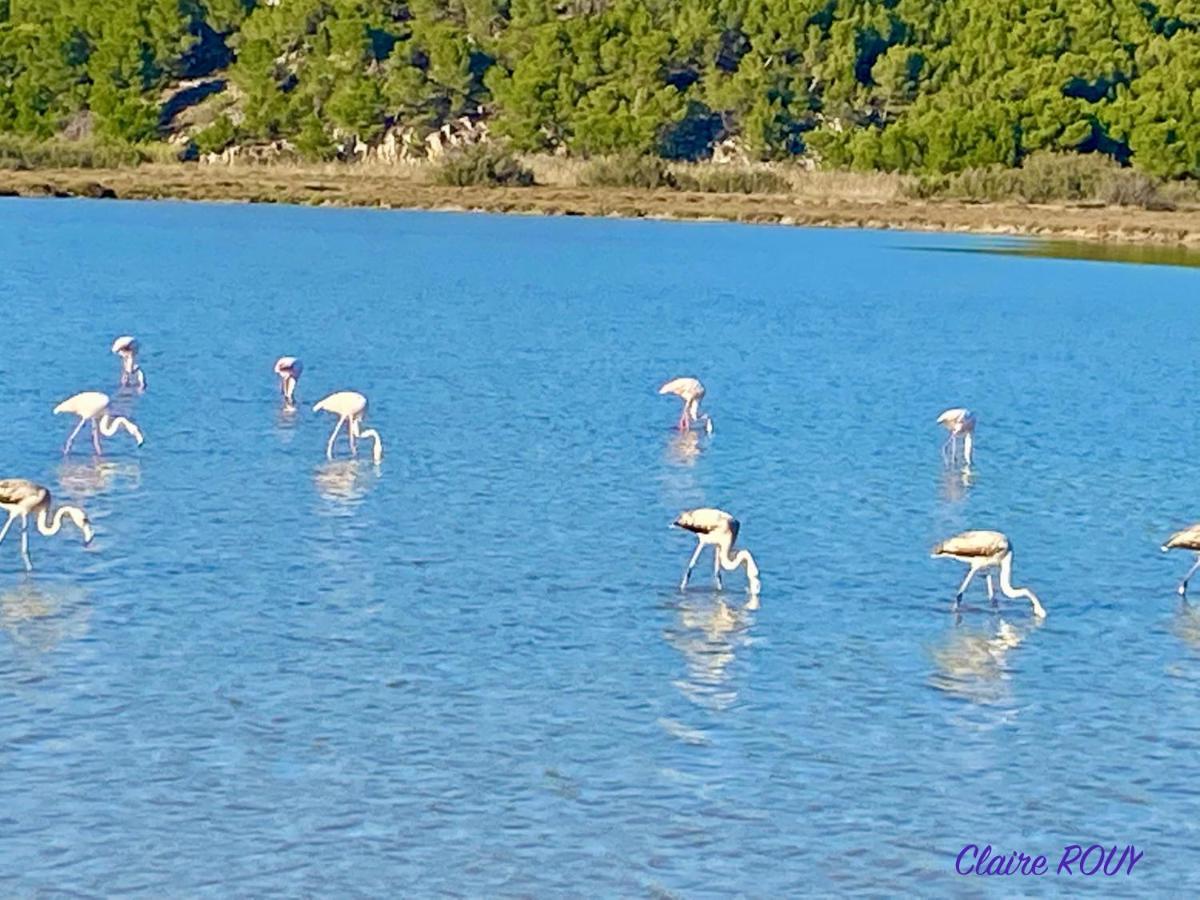 Chalet L' Alienor Gruissan